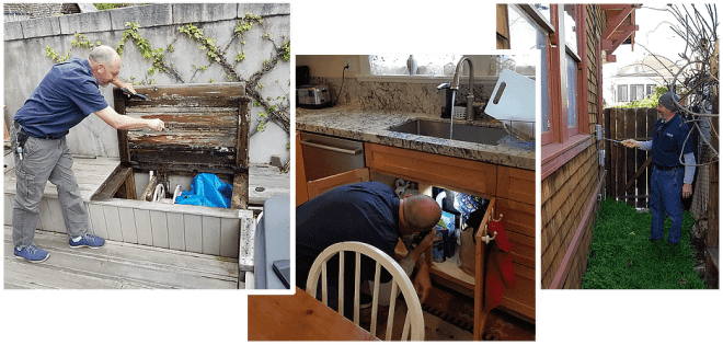 Omega Expert Termite Inspection